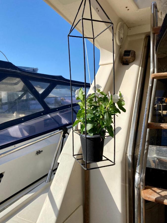 Panaby Houseboat Botel *